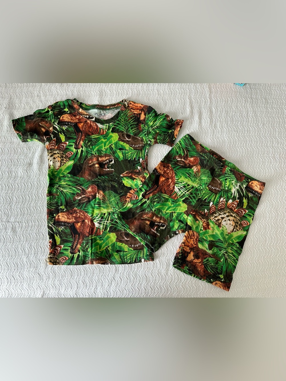Boys Dinosaur Pajama Set